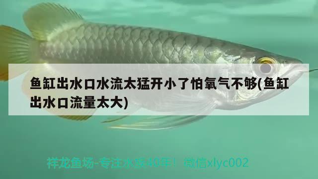 魚缸出水口水流太猛開小了怕氧氣不夠(魚缸出水口流量太大) 養(yǎng)魚知識(shí)