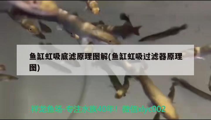 木工魚缸柜子圖片：實木魚缸柜子制作方法