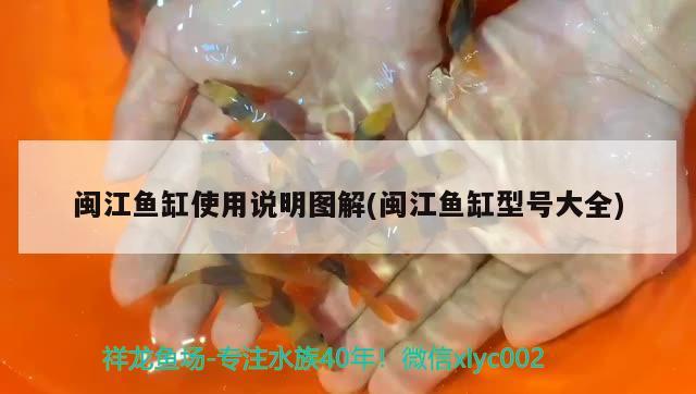 閩江魚缸使用說明圖解(閩江魚缸型號(hào)大全) 金老虎魚