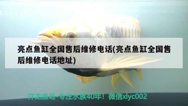 亮點(diǎn)魚缸全國售后維修電話(亮點(diǎn)魚缸全國售后維修電話地址) 福滿鉆魚