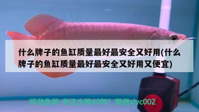 什么牌子的魚缸質(zhì)量最好最安全又好用(什么牌子的魚缸質(zhì)量最好最安全又好用又便宜) 薩伊藍(lán)魚