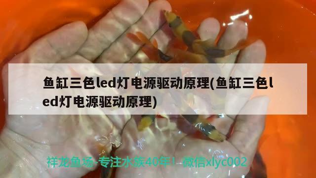 魚缸三色led燈電源驅動原理(魚缸三色led燈電源驅動原理)