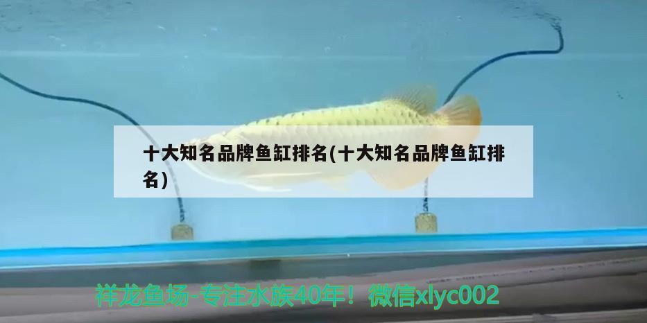 十大知名品牌魚缸排名(十大知名品牌魚缸排名)