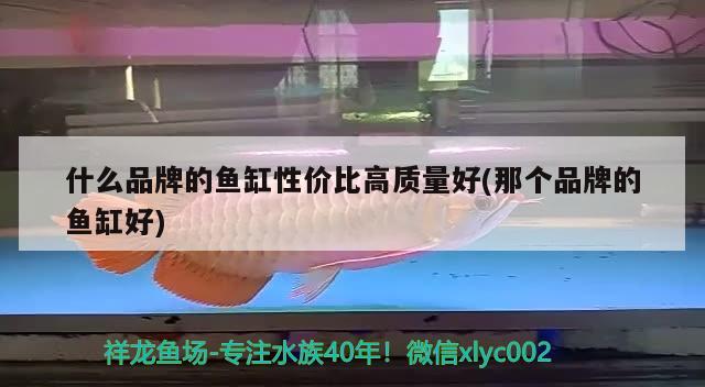 亮點(diǎn)水族魚(yú)缸圖片欣賞(亮點(diǎn)水族魚(yú)缸價(jià)格) 魟魚(yú)百科