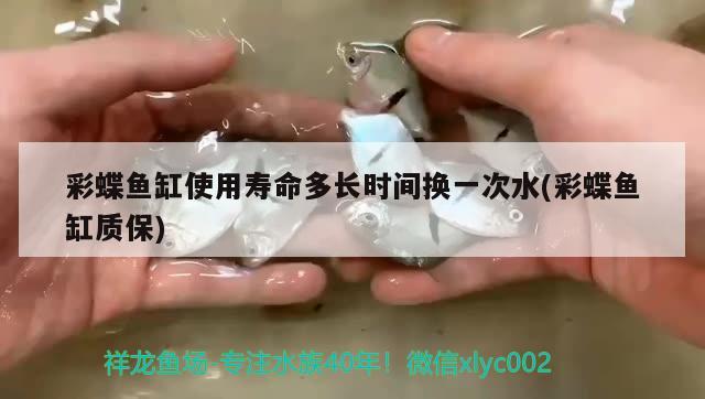 彩蝶魚缸使用壽命多長時間換一次水(彩蝶魚缸質(zhì)保)