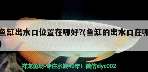 魚缸出水口位置在哪好?(魚缸的出水口在哪)