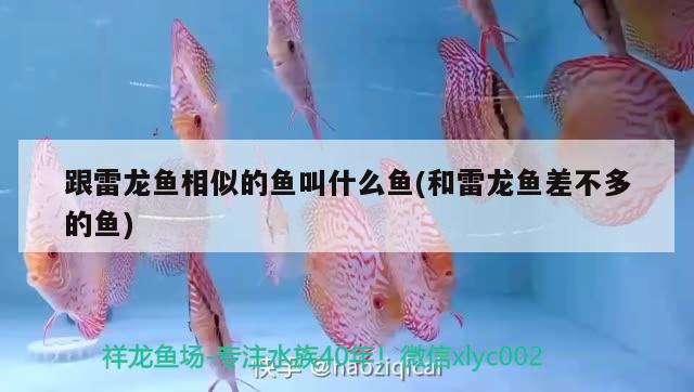 魚缸開缸需要換水嗎視頻（魚缸過濾系統(tǒng)要24小時(shí)開著嗎，為什么） 廣州水族器材濾材批發(fā)市場 第2張