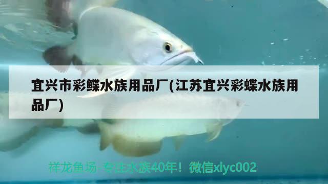 魚缸用什么顏色的燈好看(魚缸燈光什么顏色好看)