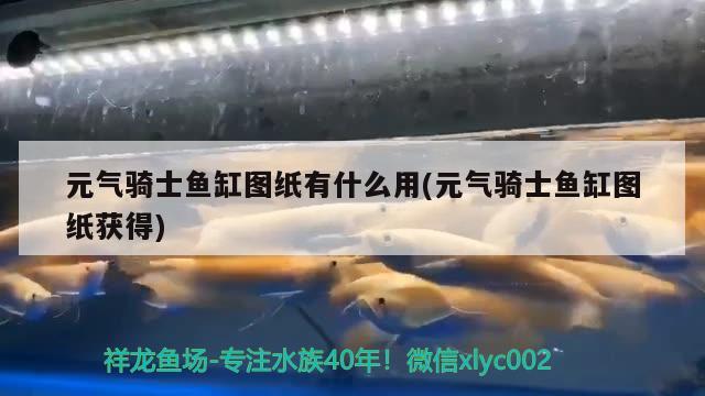 元?dú)怛T士魚缸圖紙有什么用(元?dú)怛T士魚缸圖紙獲得)