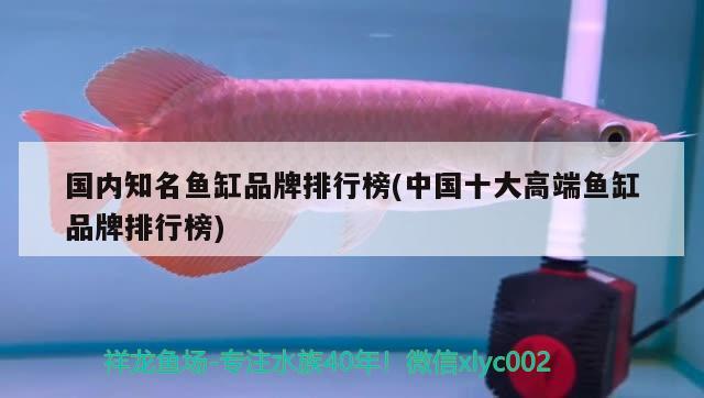 國內(nèi)知名魚缸品牌排行榜(中國十大高端魚缸品牌排行榜) 撒旦鴨嘴魚