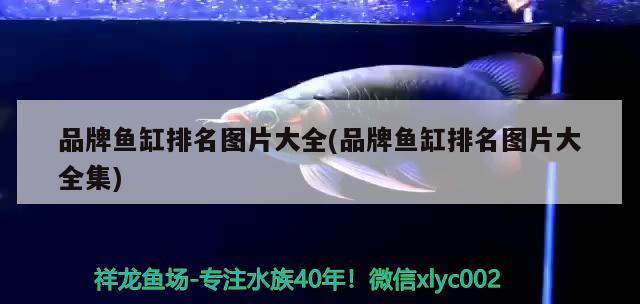 品牌魚(yú)缸排名圖片大全(品牌魚(yú)缸排名圖片大全集)