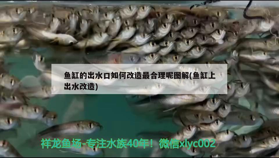 魚缸的出水口如何改造最合理呢圖解(魚缸上出水改造) 印尼紅龍魚