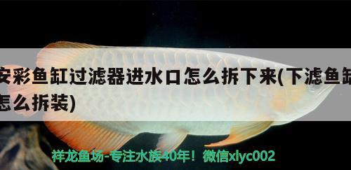 安彩魚缸過濾器進水口怎么拆下來(下濾魚缸怎么拆裝) 銀河星鉆魚