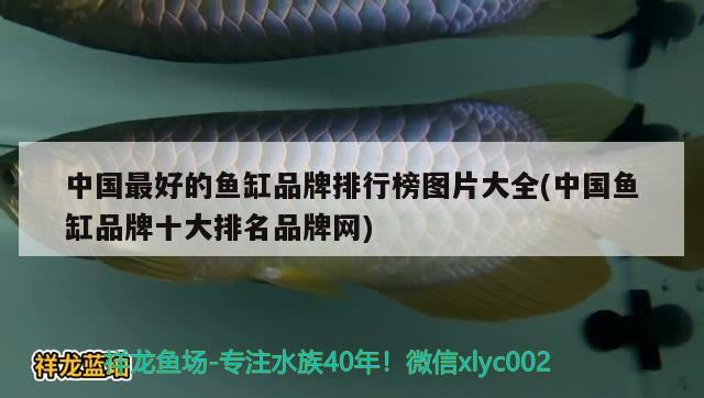 中國最好的魚缸品牌排行榜圖片大全(中國魚缸品牌十大排名品牌網) 帝王三間魚