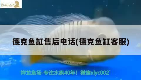 德克魚缸售后電話(德克魚缸客服)