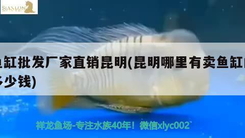 魚缸批發(fā)廠家直銷昆明(昆明哪里有賣魚缸的多少錢)