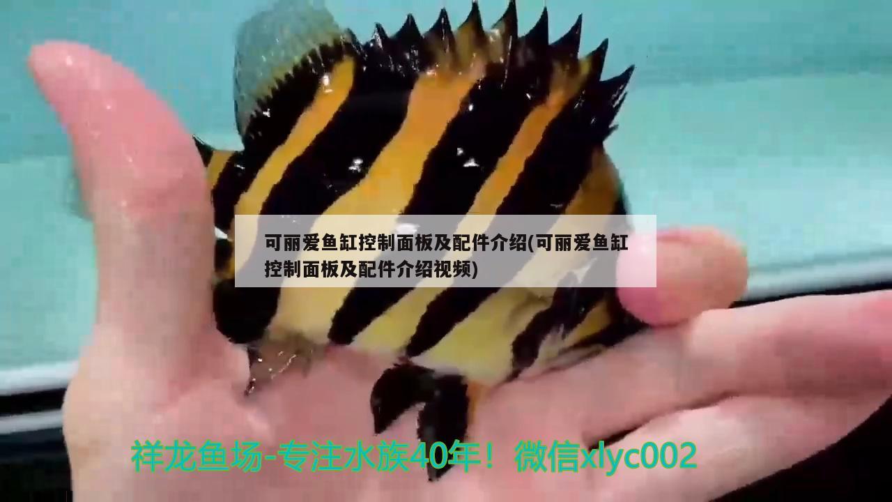 可麗愛魚缸控制面板及配件介紹(可麗愛魚缸控制面板及配件介紹視頻)