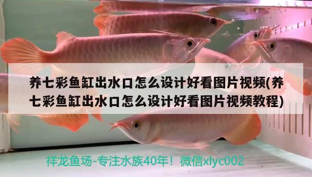 養(yǎng)七彩魚缸出水口怎么設(shè)計好看圖片視頻(養(yǎng)七彩魚缸出水口怎么設(shè)計好看圖片視頻教程) 黑白雙星