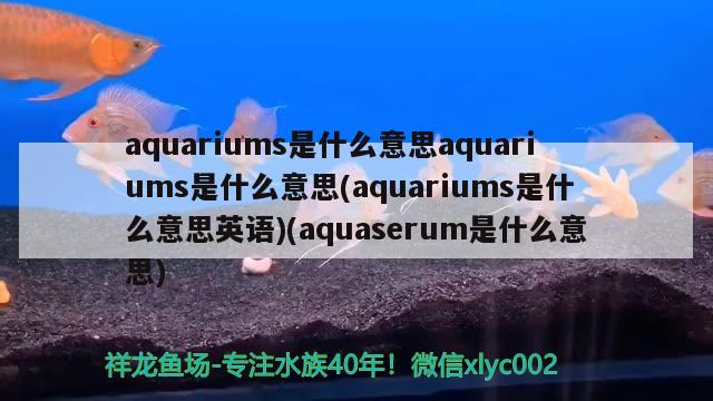 aquariums是什么意思aquariums是什么意思(aquariums是什么意思英語)(aquaserum是什么意思)