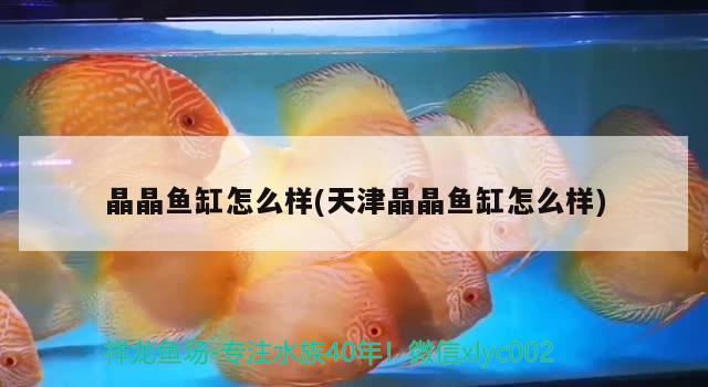 可麗愛(ài)魚(yú)缸廠家電話地址(大連可麗愛(ài)魚(yú)缸銷售電話)