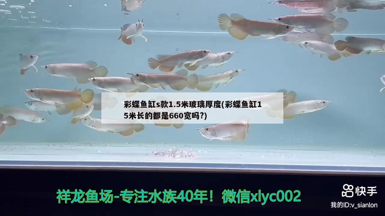 魚缸出水口放什么位置能吹油墨(魚缸出水口朝向哪里吹比較好) 馬拉莫寶石魚苗