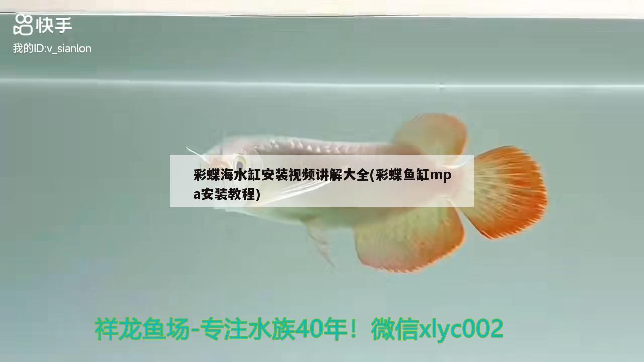 魚缸柜子高度多少合適(魚缸柜的高度多少合適) 帝王迷宮魚