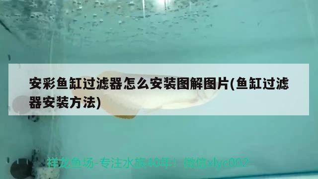 安彩魚缸過濾器怎么安裝圖解圖片(魚缸過濾器安裝方法) 招財戰(zhàn)船魚