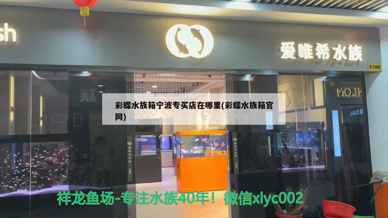 彩蝶水族箱寧波專買店在哪里(彩蝶水族箱官網(wǎng))