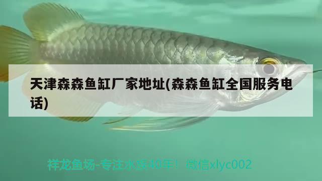 天津森森魚缸廠家地址(森森魚缸全國服務(wù)電話) 祥龍魚場