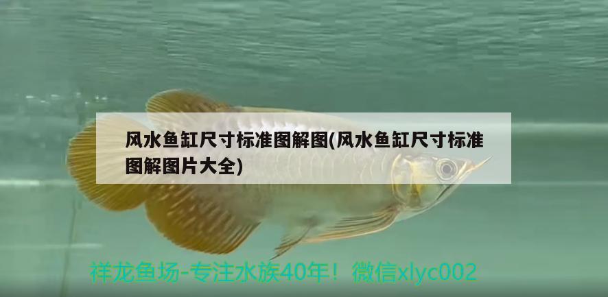 風水魚缸尺寸標準圖解圖(風水魚缸尺寸標準圖解圖片大全) 魚缸風水