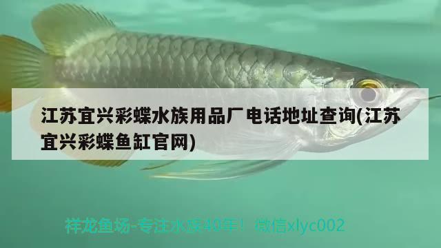 江蘇宜興彩蝶水族用品廠電話地址查詢(江蘇宜興彩蝶魚缸官網(wǎng))