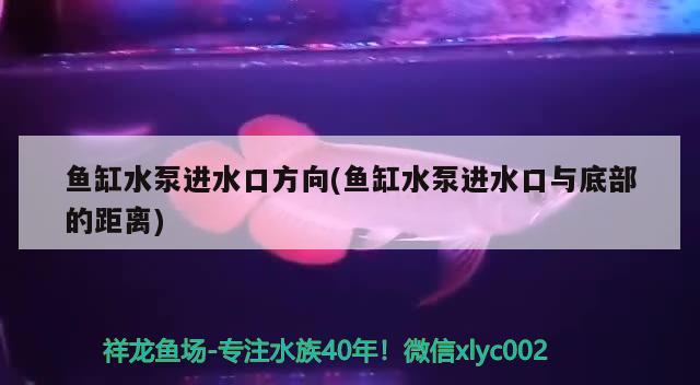 魚缸水泵進(jìn)水口方向(魚缸水泵進(jìn)水口與底部的距離) 魚缸水泵