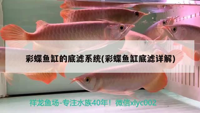 底濾魚缸溢流管安裝(底濾魚缸溢流怎么做)