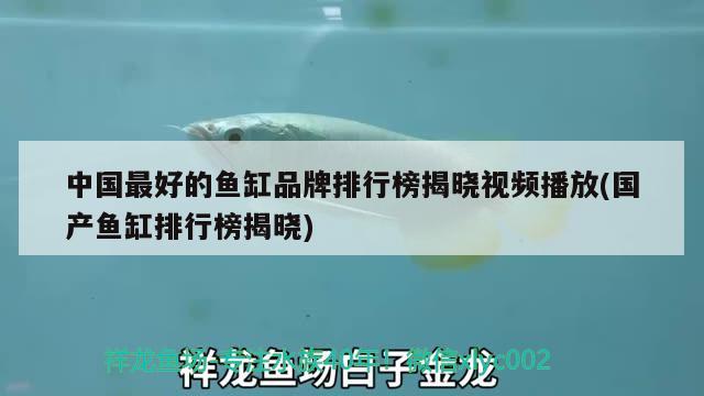 玻璃貓魚(yú)怎么喂食，玻璃貓魚(yú)最少養(yǎng)幾條魚(yú)呢