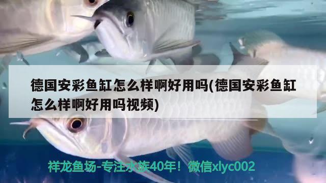 德國安彩魚缸怎么樣啊好用嗎(德國安彩魚缸怎么樣啊好用嗎視頻) 水草