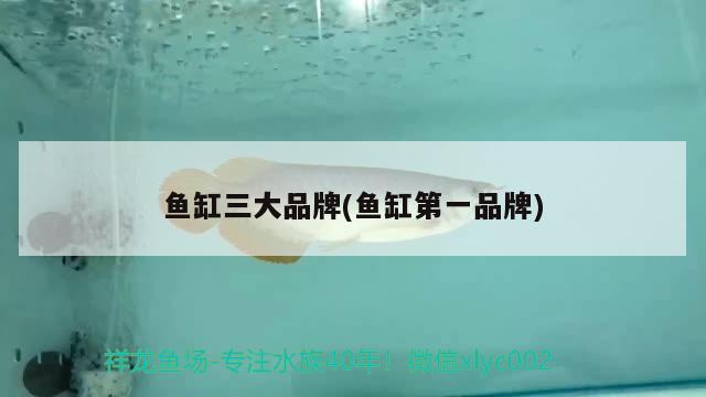 魚缸濾材擺放順序圖解（魚缸濾材的擺放方法）