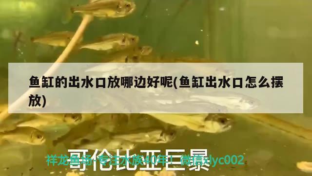 魚缸放在房子的哪個(gè)位置最好（ 魚缸應(yīng)該放在房子的哪個(gè)位置） 祥龍傳奇品牌魚缸