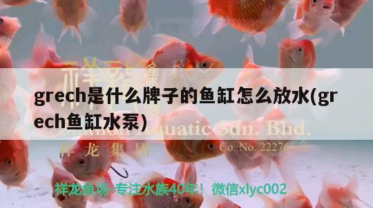 grech是什么牌子的魚缸怎么放水(grech魚缸水泵) 魚缸水泵