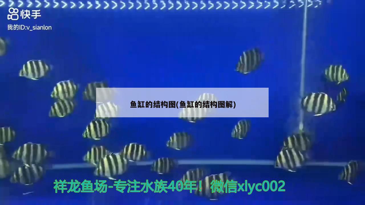 魚缸的結(jié)構(gòu)圖(魚缸的結(jié)構(gòu)圖解)