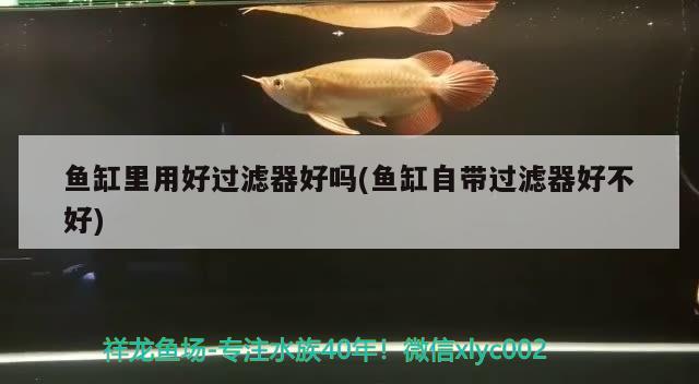 魚缸里用好過濾器好嗎(魚缸自帶過濾器好不好)