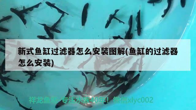 新式魚缸過濾器怎么安裝圖解(魚缸的過濾器怎么安裝)