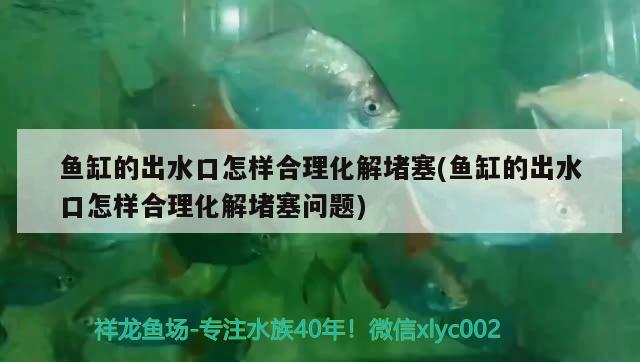 魚缸的出水口怎樣合理化解堵塞(魚缸的出水口怎樣合理化解堵塞問題) 祥龍赫舞紅龍魚