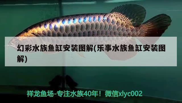 幻彩水族魚(yú)缸安裝圖解(樂(lè)事水族魚(yú)缸安裝圖解) 古典過(guò)背金龍魚(yú)