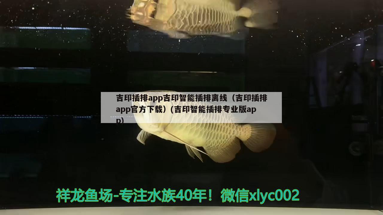 吉印插排app吉印智能插排離線（吉印插排app官方下載）(吉印智能插排專業(yè)版app) 吉印水族