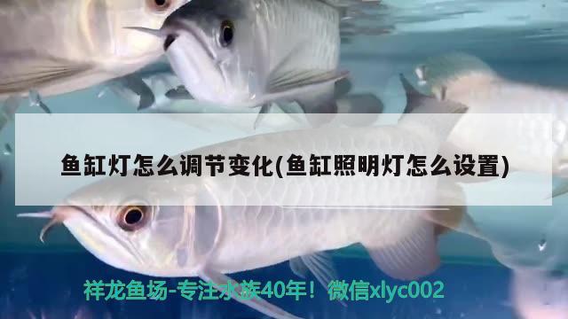 魚缸燈怎么調(diào)節(jié)變化(魚缸照明燈怎么設(shè)置)