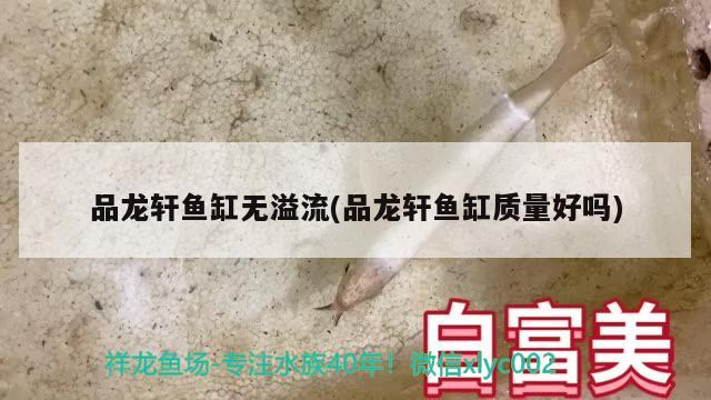 品龍軒魚缸無溢流(品龍軒魚缸質(zhì)量好嗎) PH調(diào)節(jié)劑