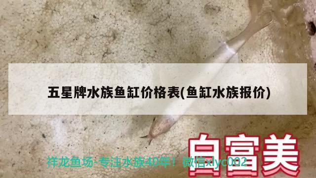 五星牌水族魚缸價(jià)格表(魚缸水族報(bào)價(jià)) 羅漢魚批發(fā)