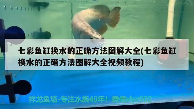 七彩魚缸換水的正確方法圖解大全(七彩魚缸換水的正確方法圖解大全視頻教程)