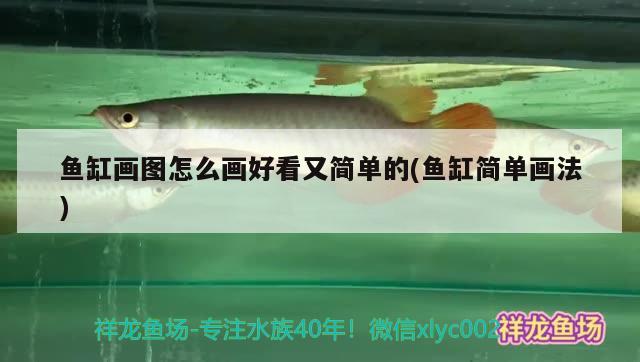 魚缸畫圖怎么畫好看又簡單的(魚缸簡單畫法)