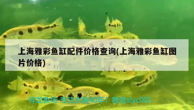 上海雅彩魚缸配件價格查詢(上海雅彩魚缸圖片價格)